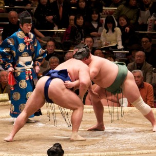 Sumo Fight